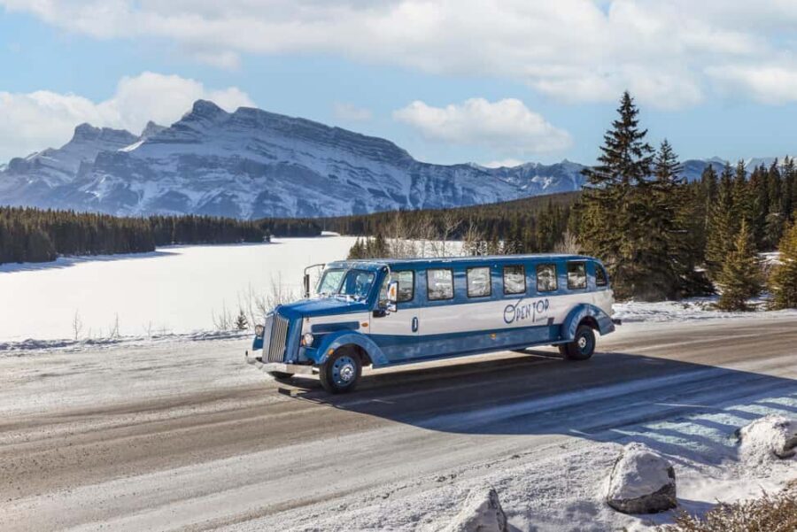 Banff: Winter Tour with Dinner & Nightrise at Banff Gondola - An Open-Top Vintage Car That Makes Winter Feel Like a Feature