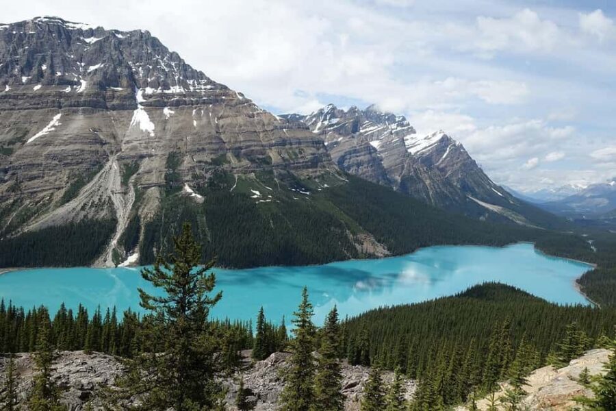 Banff, Yoho, and Jasper 2 Day Private Tour - Mr. Habib (and Other Great Driver-Guides): The Difference a Pro Makes
