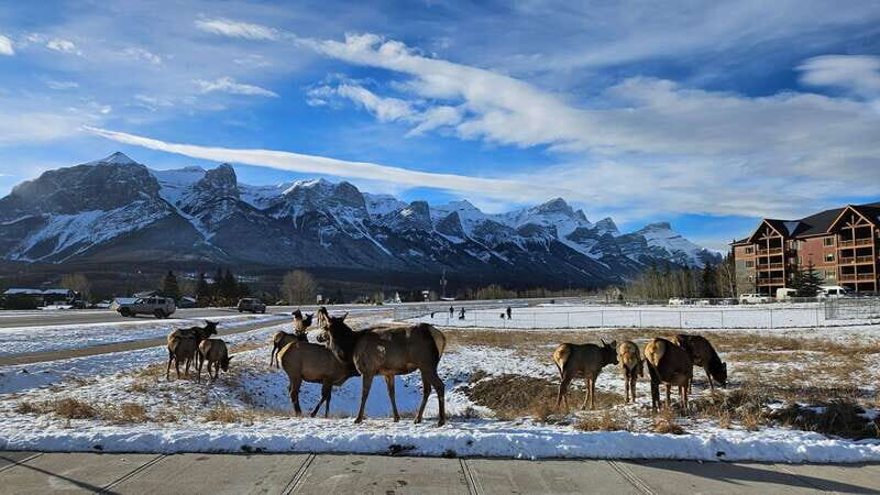 Calgary: Canmore, Banff, Lake Louise - Gondola Included - What to Pack and What You Can’t Bring