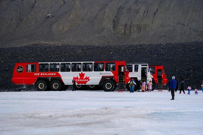 Columbia Icefield Adventure,Bow Lake,Peyto Lake in Banff & Jasper - Key Points to Know Before You Go