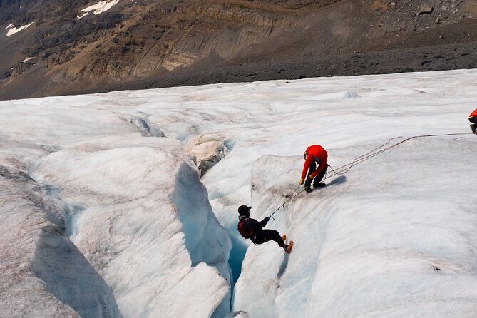 Columbia Icefield Adventure,Bow Lake,Peyto Lake in Banff & Jasper - Ice Explorer vs Columbia Icefield Skywalk: How to Choose