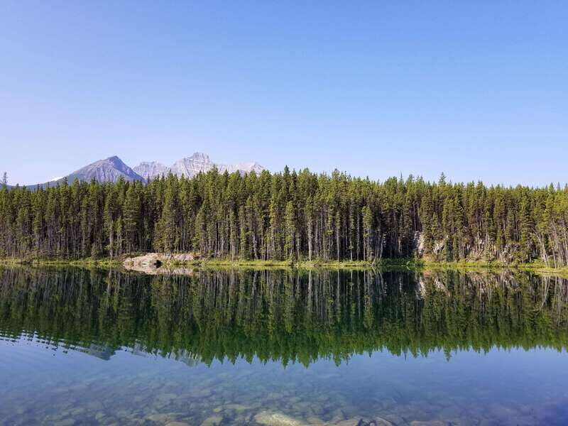 Deep Day Tour to Peyto, Moraine, Louise Lakes, J. Canyon... - Key things to know before you go