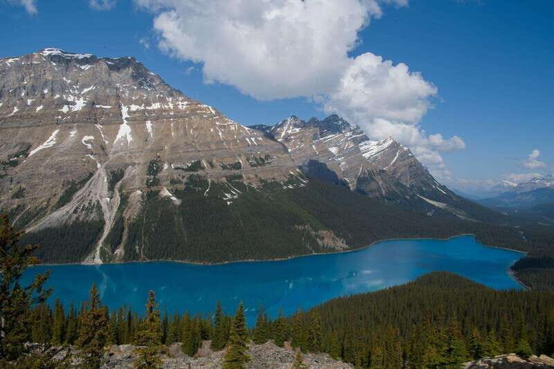 Deep Day Tour to Peyto, Moraine, Louise Lakes, J. Canyon... - A Long Coach Day Through Banff and the Icefields Parkway
