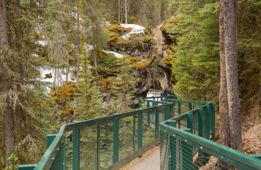 Deep Day Tour to Peyto, Moraine, Louise Lakes, J. Canyon... - Moraine Lake: Turquoise Water and a Real Walk-Friendly Break