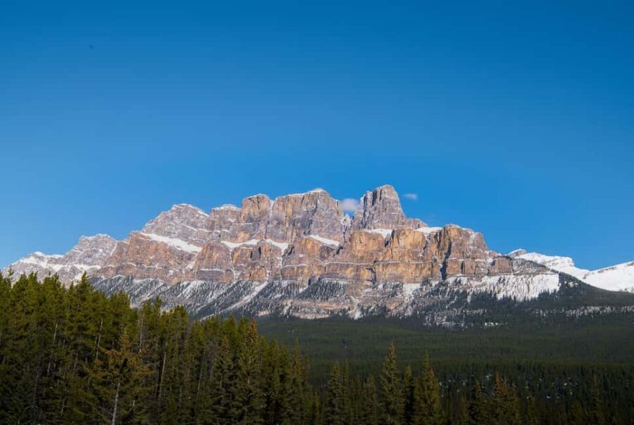Deep Day Tour to Peyto, Moraine, Louise Lakes, J. Canyon... - Crowfoot Glacier Viewpoint, Bow Lake, and Peyto Lake Photo Pull-Offs