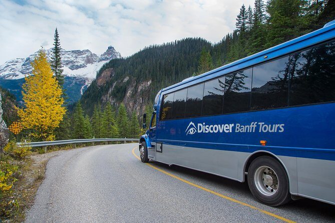 Discover Grizzly Bears from Banff - Meeting Boo at the Grizzly Bear Refuge