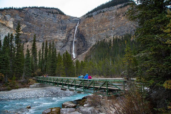 Discover Grizzly Bears from Banff - How This Tour Feels: Animal Lovers and Scenic Day-Planers
