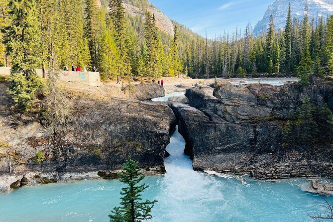 Emerald Lake,Natural Bridge, Wapta Falls & Takakkaw Falls in Yoho - Key things I’d center in your planning