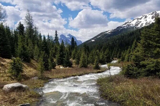 Exclusive Skoki Backcountry Guided Hiking in Lake Louise with Van Shuttle - Lunch in the backcountry: fuel without turning the day into a chore