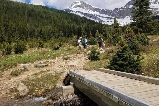 Exclusive Skoki Backcountry Guided Hiking in Lake Louise with Van Shuttle - Who this Skoki hiking tour fits best