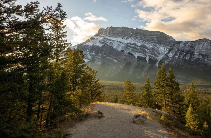 From Banff: Banff Wildlife & Scenic Highlights Premium Tour - Pickup in Banff: easy meeting points and a small bus