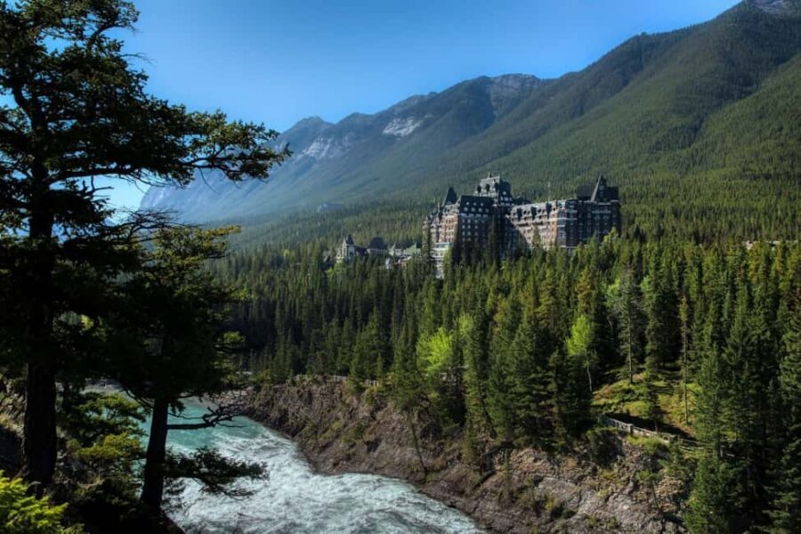 From Banff: Banff Wildlife & Scenic Highlights Premium Tour - The wildlife strategy: corridors, pull-offs, and realistic expectations