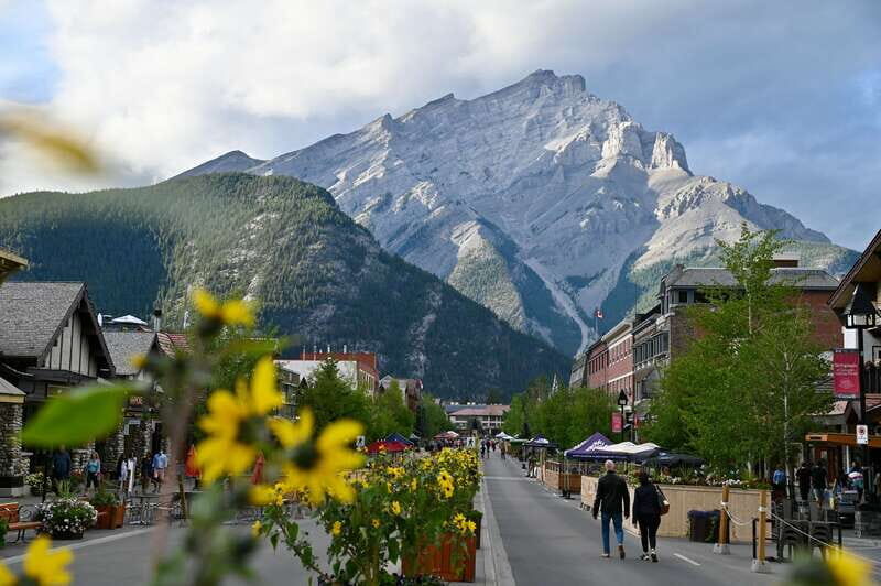 From Banff: Banff Wildlife & Scenic Highlights Premium Tour - Price and value: $91 for 3 hours of guided spotting