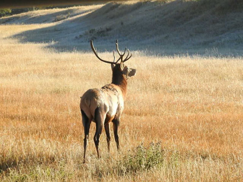From Banff/Canmore: Deep 1 Day Tour in Banff National Park - Key highlights I’d plan around