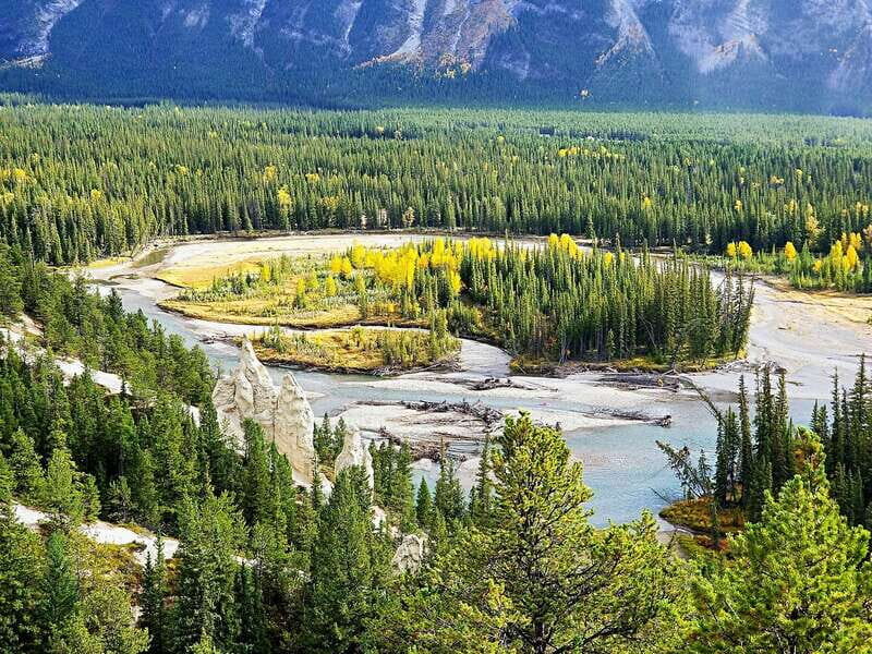 From Banff/Canmore: Deep 1 Day Tour in Banff National Park - Why this Banff day tour works when you’d rather not drive