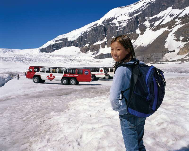 From Banff/Lake Louise: 1-Way Sightseeing Tour to Jasper - Key highlights worth planning around