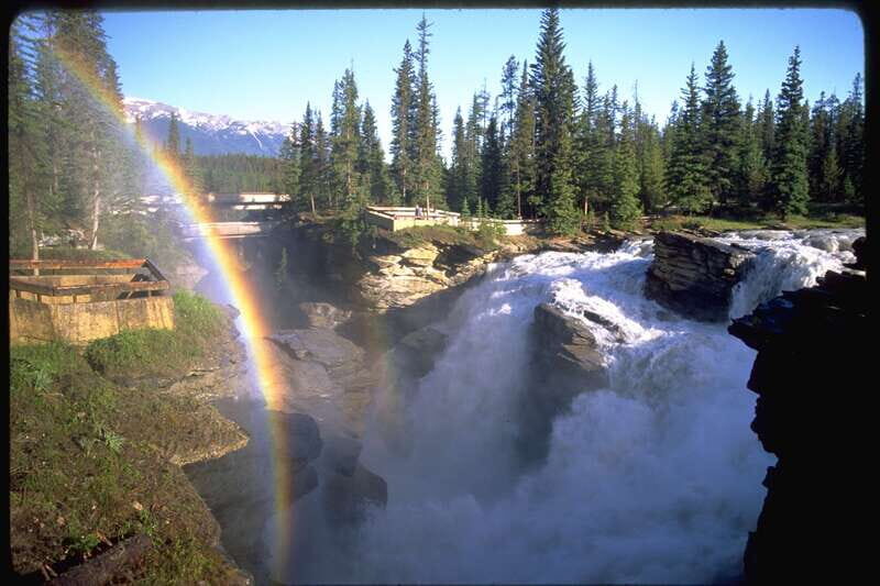 From Banff/Lake Louise: 1-Way Sightseeing Tour to Jasper - Peyto Lake to the picnic: how the day keeps momentum