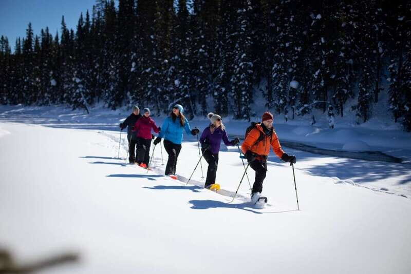 From Banff: Winter Wonderland; Lake Louise & Johnston Canyon - The second Banff National Park stop: time for viewpoints and reset