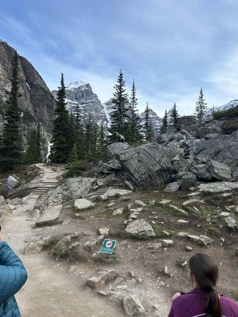 From Calgary/Banff: Moraine Lake & Lake Louise Half-Day Tour - The guide effect: why the best photos are often about timing