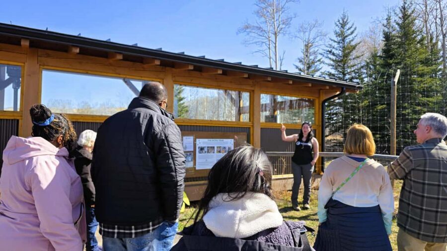 From Calgary to Banff: Day Trip with Wolfdog Sanctuary Visit - Pickup, route rhythm, and why the day feels full