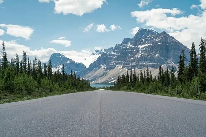 Glacier Adventure on the Icefields Parkway Hidden Gems Skywalk - Price and what $347.95 buys you (and what it doesn’t)