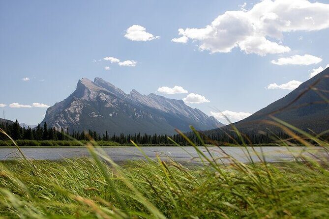 Guided Tour to Banff Highlights & Wildlife With Gondola Admission - Hoodoos Trail: a short walk to red-chair style views