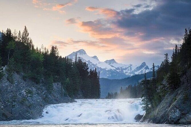 Guided Tour to Banff Highlights & Wildlife With Gondola Admission - Getting around: modern van, panoramic windows, and an efficient 4 hours