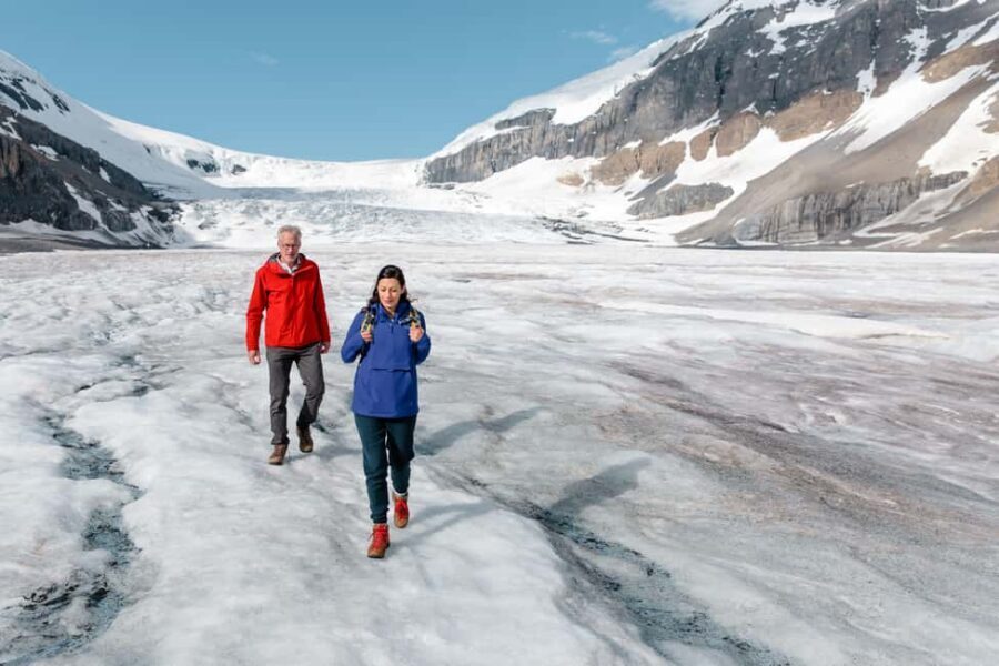 Icefield: Bow Lake, Columbia Icefield, Peyto Lake Day Tour - Key moments that make this day trip worth it