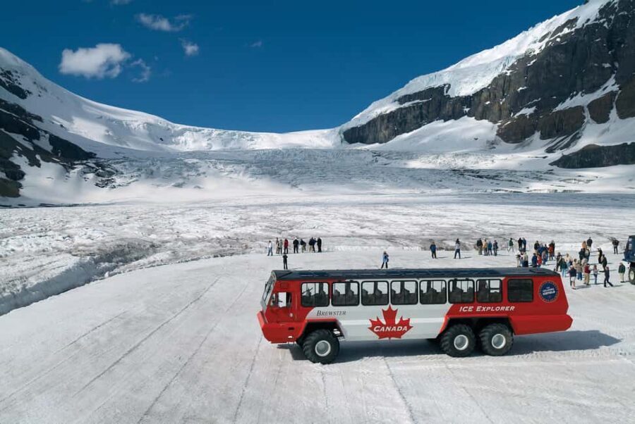 Icefield: Bow Lake, Columbia Icefield, Peyto Lake Day Tour - Icefield Parkway in a single day: what you’re really signing up for