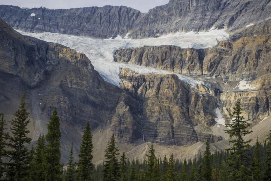 Icefield: Bow Lake, Columbia Icefield, Peyto Lake Day Tour - Who this tour is for (and who should skip it)