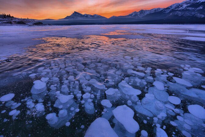Icefields Parkway and Ice Bubbles of Abraham Lake Adventure - Bow Lake View Stop: A Quick Hit of Glacier-Source Drama