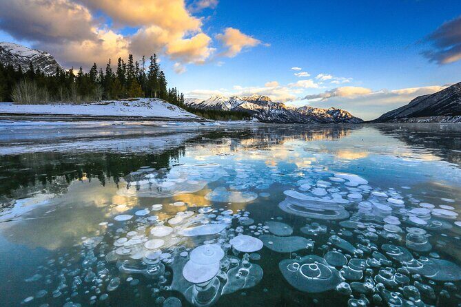 Icefields Parkway and Ice Bubbles of Abraham Lake Adventure - What’s Included: The Practical Stuff That Saves Your Day