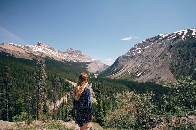 Icefields Parkway Highlights & Secrets | Award-Winning Adventure - Icefields Parkway stops: viewpoints, wildlife spotting, and a real picnic break