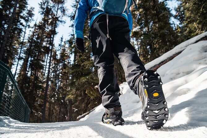 Johnston Canyon Icewalk - The walk itself: distance, elevation, and how it feels