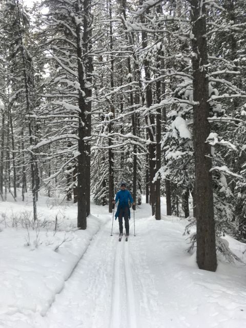 Lake Louise: Cross Country Skiing Lesson with Tour - Lake Louise is an ideal place to learn nordic skiing