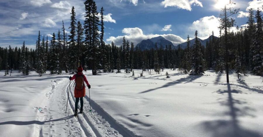 Lake Louise: Cross Country Skiing Lesson with Tour - Should you book this Lake Louise skiing tour?