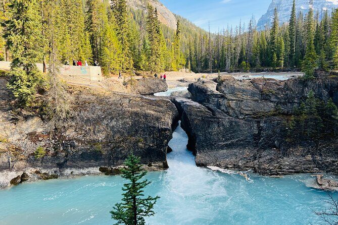 Lake Louise, Moraine/Bow, Emerald & Peyto - 4 Lakes in Banff - Moraine Lake (Summer Season) and Bow Lake (Winter Alternative)