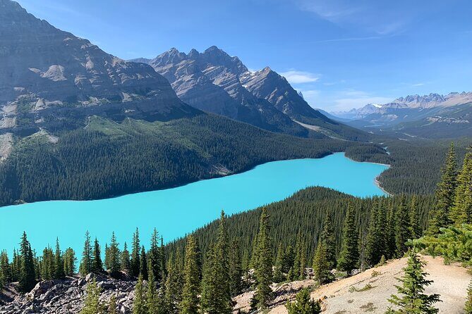 Lake Louise, Moraine Lake and the Icefields Parkway Full-Day Tour - Peyto Lake Viewpoint: Electric Blue From a Freshly Built Angle