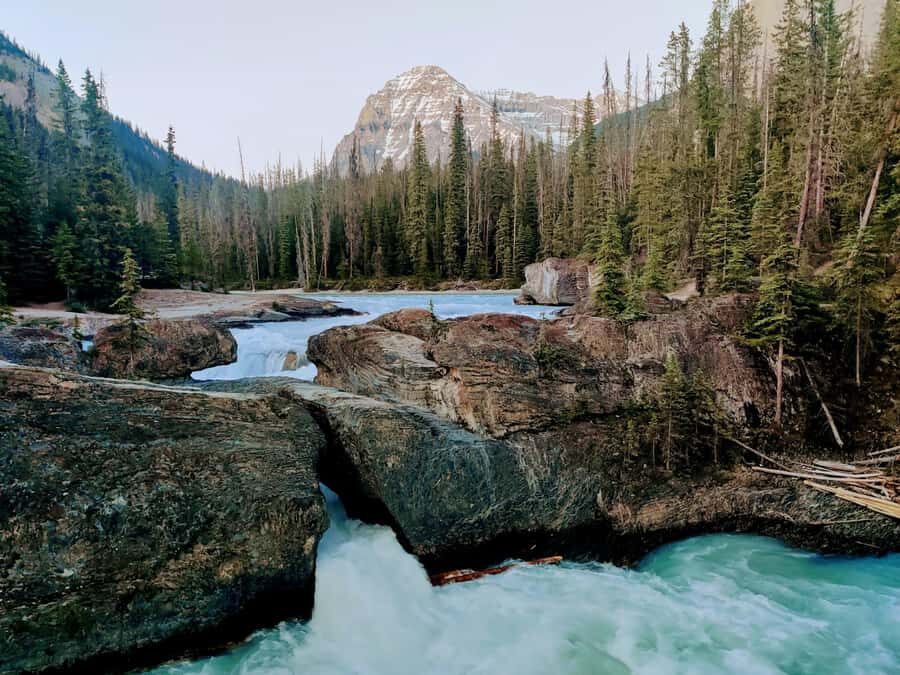 Lake Louise,Moraine,Emerald Lake,Johnston Canyon & BanffTour - What to pack and how to pace your lunch