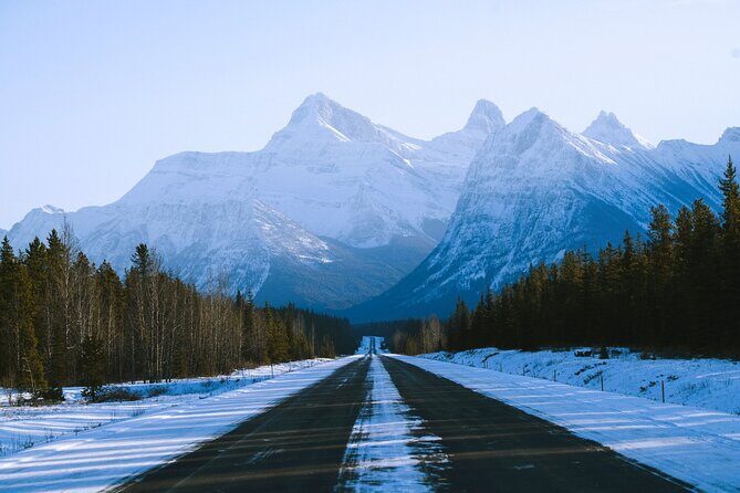 Lake Minnewanka, Peyto Lake, Bow Lake , Icefields - Peyto Lake: the wolf-shaped turquoise viewpoint