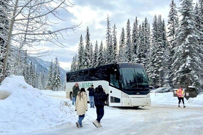 Lake Minnewanka, Peyto Lake, Bow Lake , Icefields - Pickup and getting on the bus without stress