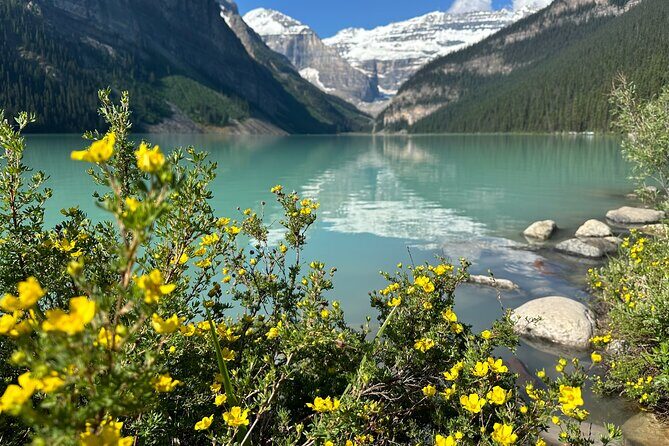 Moraine Lake And Lake Louise Tour from Banff - Price and Logistics: Is $74.92 Worth It?