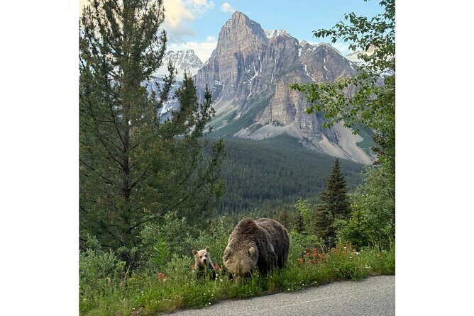 Moraine Lake, Lake Louise Afternoon Tour Half day From Banff - Riding from Banff with pickup that actually saves energy
