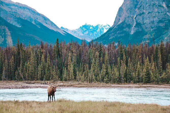 Moraine Lake, Lake Louise & Banff Secrets | Award-Winning Tour - Price and what you actually get for $142.62