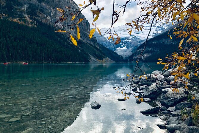 Moraine Lake & Lake Louise Sunset & Wildlife Adventure - Stop 3: Bow Valley Parkway after dusk for wildlife odds