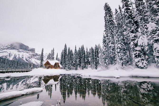 Moraine Lake, Louise Emerald Lake, and Peyto Lake all in day tour - Emerald Lake (Yoho): the 30-minute emerald moment