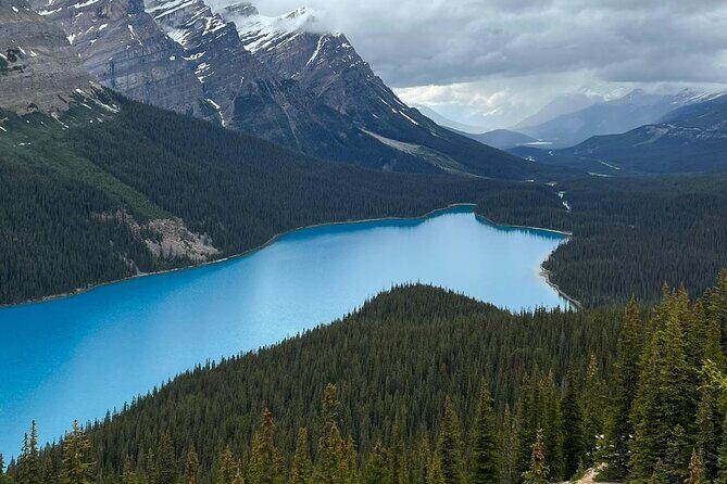 Peyto Lake, Bow Lake Lake Louise Moraine Lake Half Day Tour - Your onboard vibe: guides, pacing, and photo help