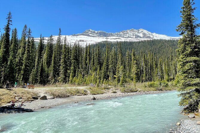 Private Banff and Yoho National Park Tour with Moraine Lake - Lake Louise: world-famous for a reason, but still worth slowing down