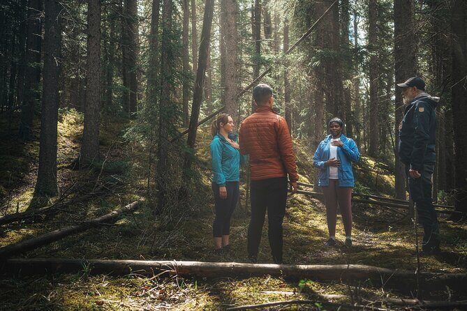 Private Forest Bathing Experience Connect with Nature - Key things to know before you book