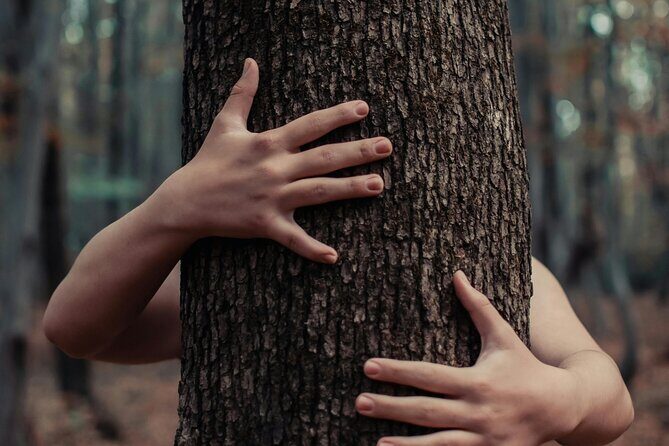 Private Forest Bathing Experience Connect with Nature - Breath work and meditation with Scott, plus Rose on some sessions